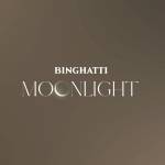 Moonlight - Image 3