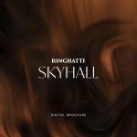 Skyhall - Image 10